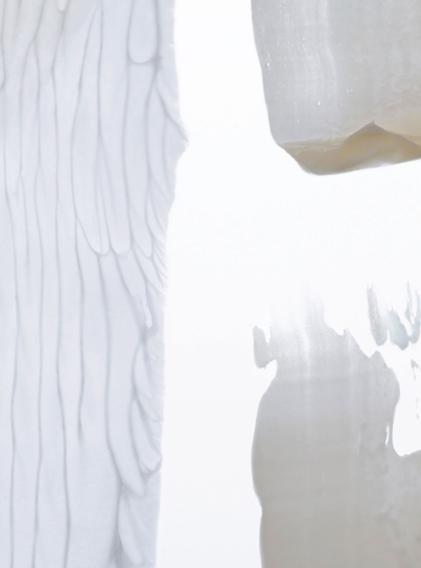 SIGNATURE DISCOVERY DUO