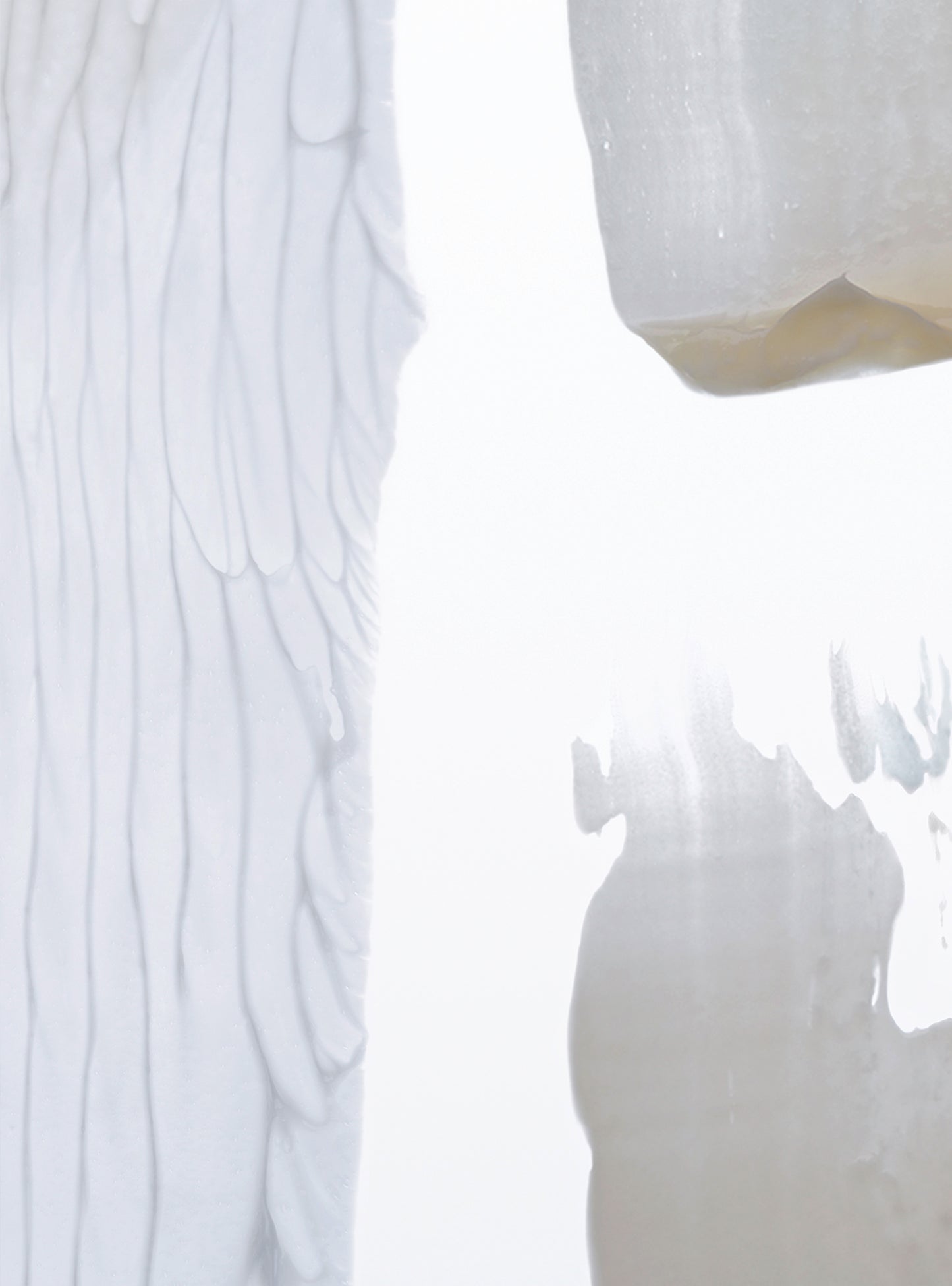 AGE REPAIR FACE CREAM SET